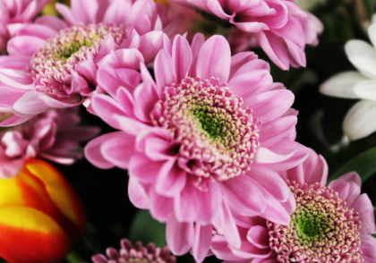 cgs_img-banner_3